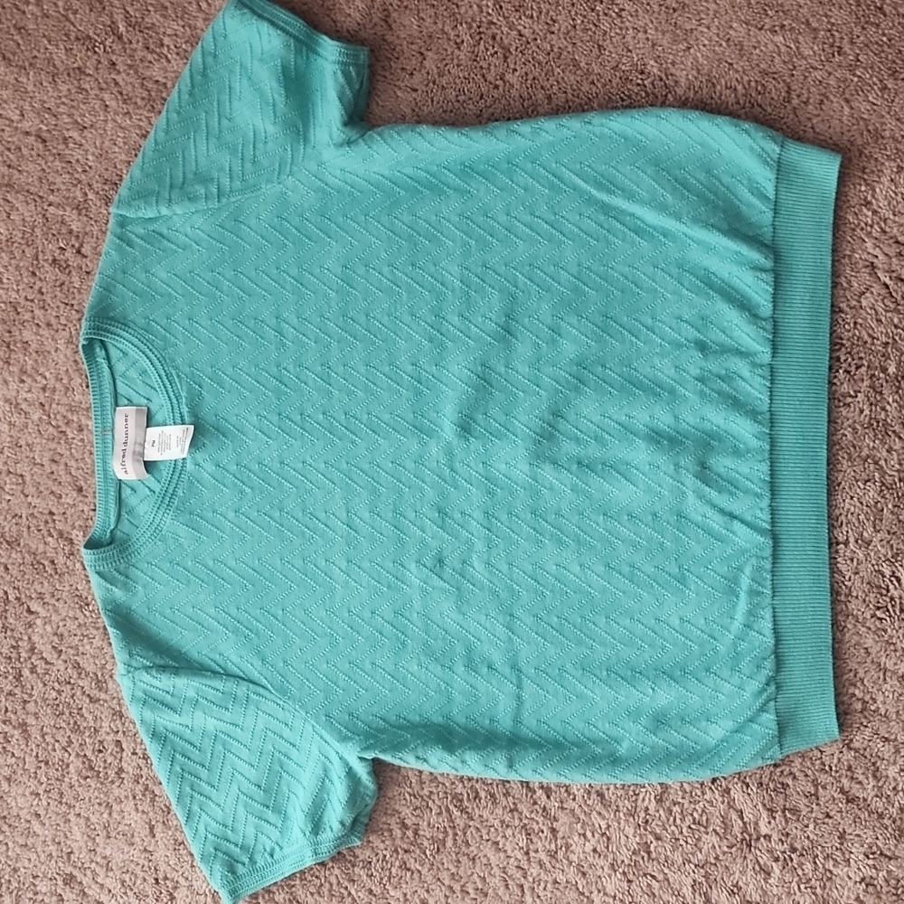 Alfred dunner PM petite M chevron stitch mint top